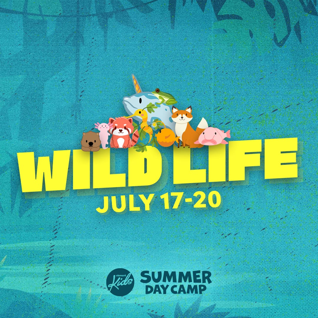 Kids Summer Camp 23 Square
